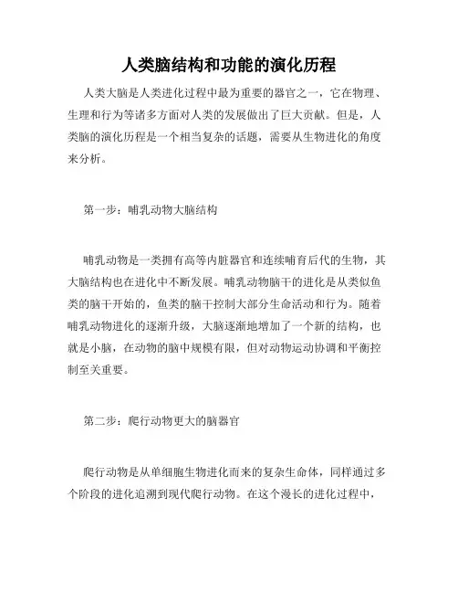 人类脑结构和功能的演化历程