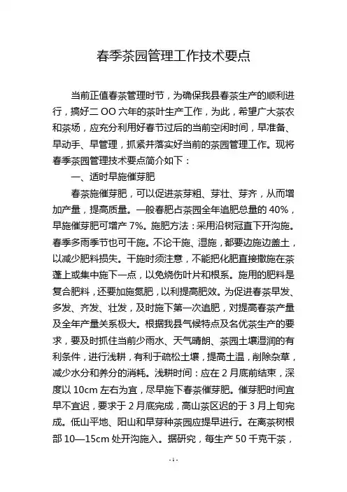 春季茶园管理工作技术要点