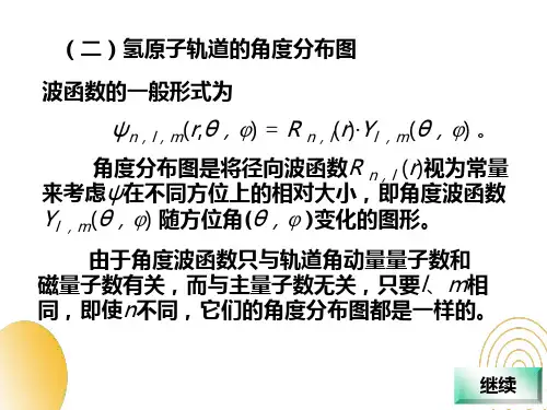 氢原子轨道的角度分布图