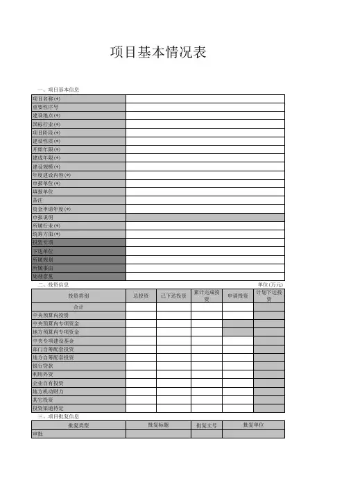 项目基本情况表