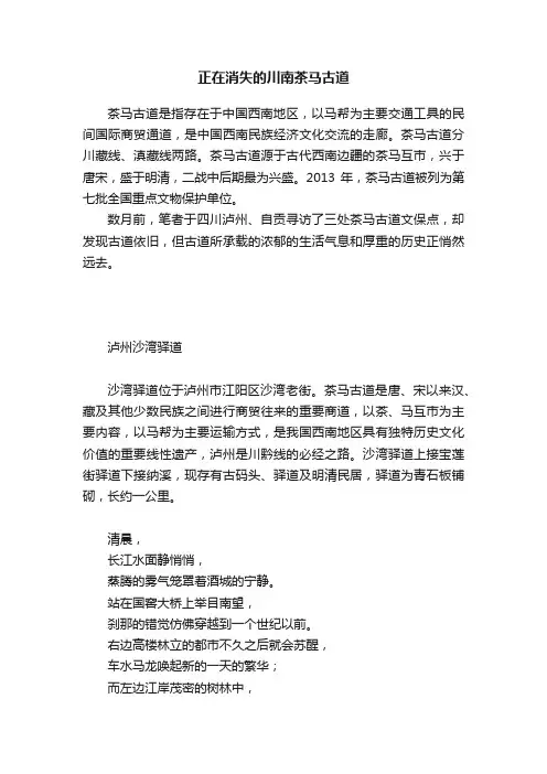 正在消失的川南茶马古道