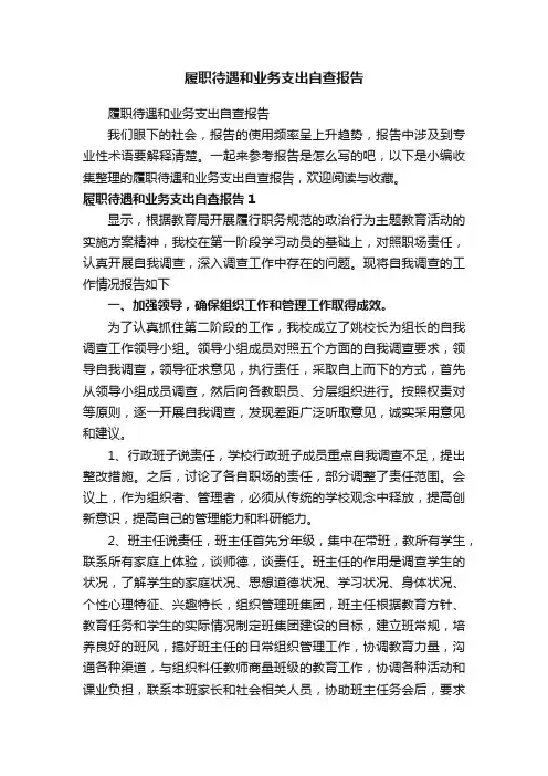 履职待遇和业务支出自查报告