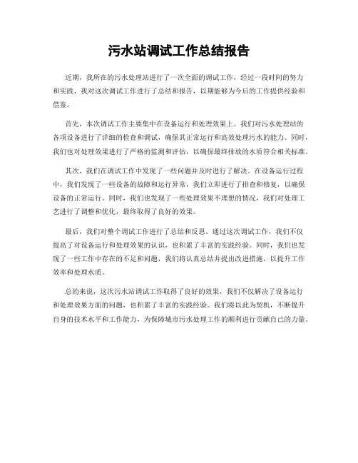污水站调试工作总结报告