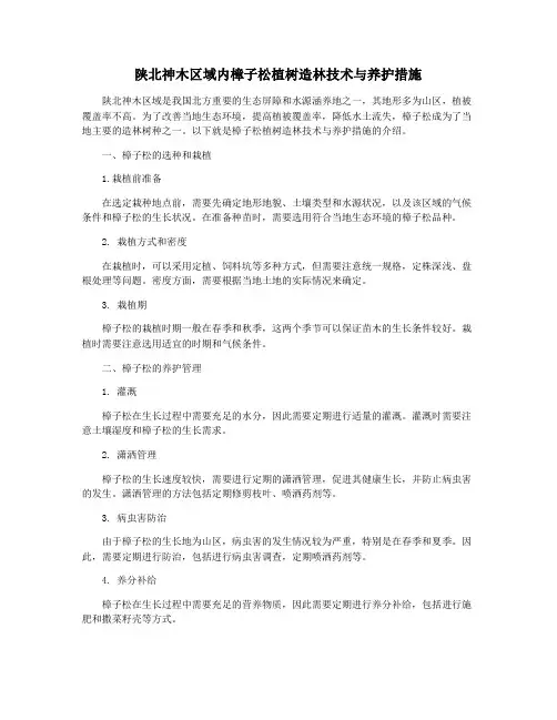 陕北神木区域内樟子松植树造林技术与养护措施