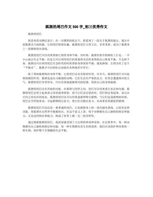 狐狸的尾巴作文500字_初三优秀作文