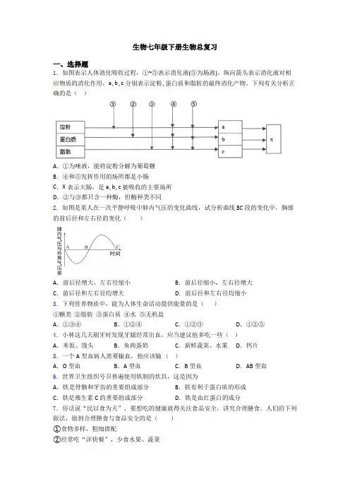 生物七年级下册生物总复习