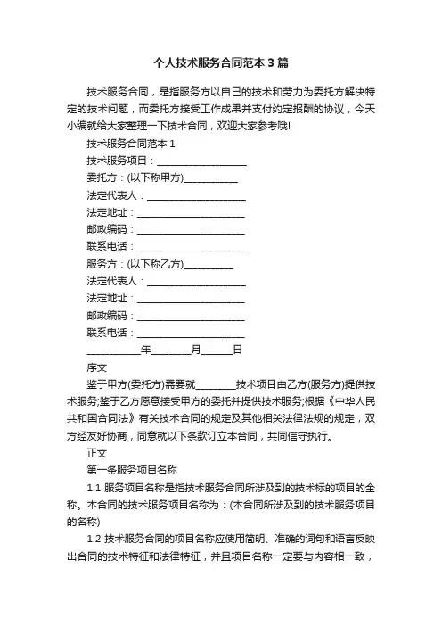 个人技术服务合同范本3篇