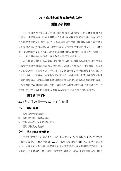 团情调研报告