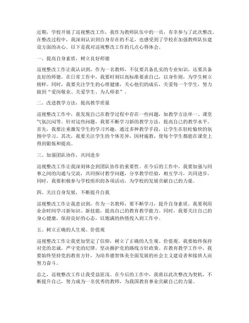 巡视整改教师心得体会