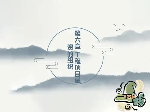 项目融资的组织