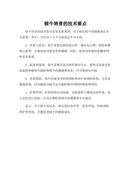 犊牛培育的技术要点