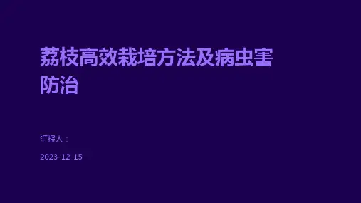 荔枝高效栽培方法及病虫害防治