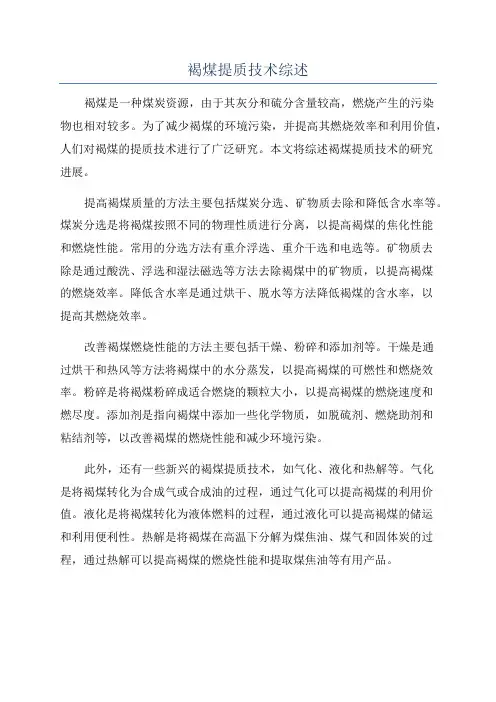 褐煤提质技术综述