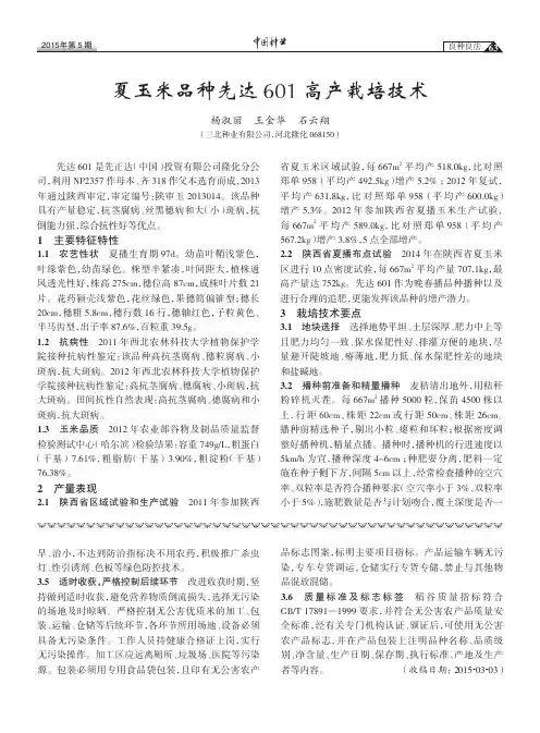 夏玉米品种先达601高产栽培技术