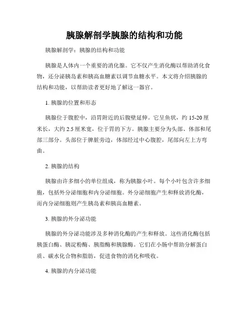 胰腺解剖学胰腺的结构和功能