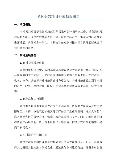 乡村振兴项目开展情况报告