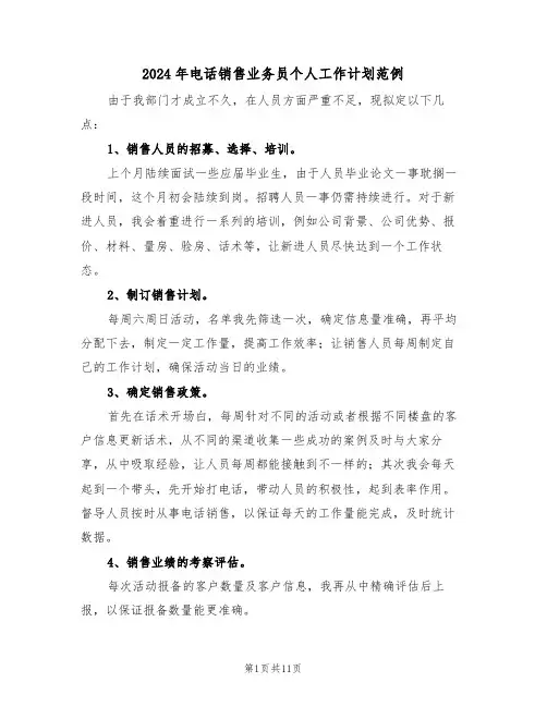2024年电话销售业务员个人工作计划范例（5篇）