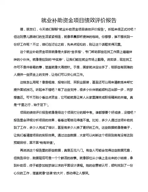 就业补助资金项目绩效评价报告