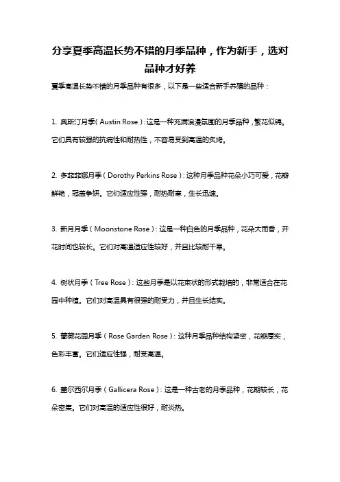 分享夏季高温长势不错的月季品种,作为新手,选对品种才好养