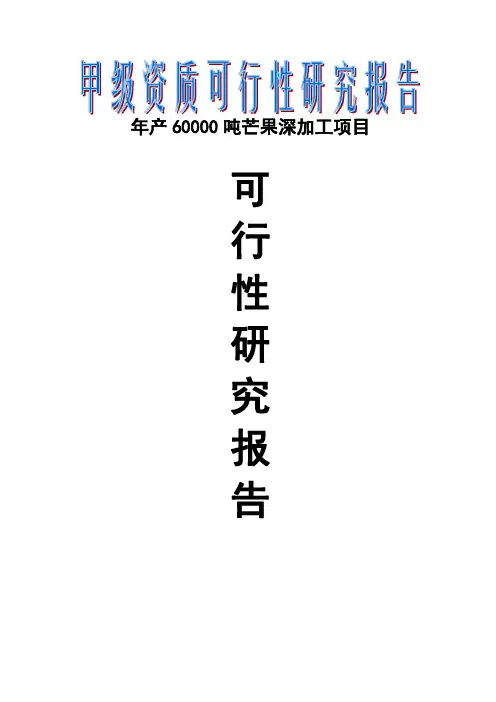 6万吨年芒果深加工项目可行性研究报告