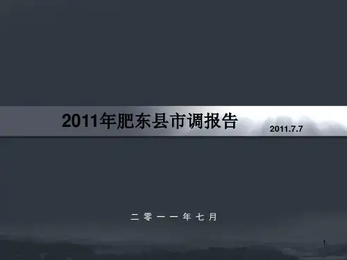 2019年7月合肥肥东县市调报告90p