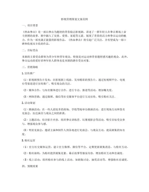影视营销策划文案范例