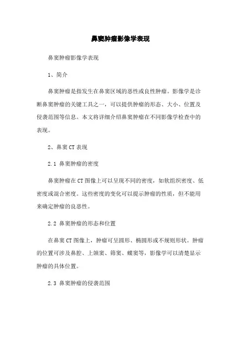 鼻窦肿瘤影像学表现