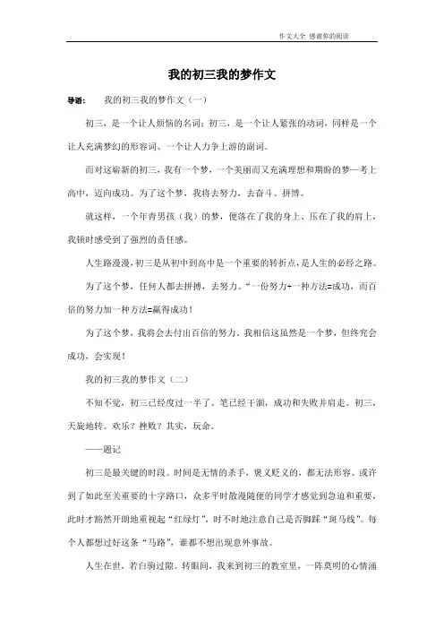 我的初三我的梦作文
