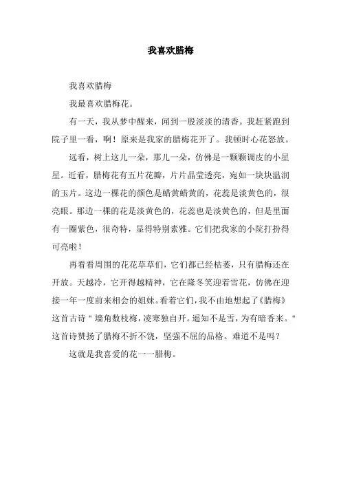 我喜欢腊梅