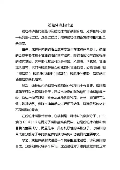 线粒体磷脂代谢