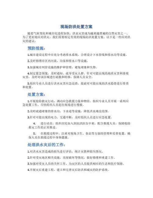 现场防洪处置方案