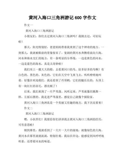 黄河入海口三角洲游记600字作文