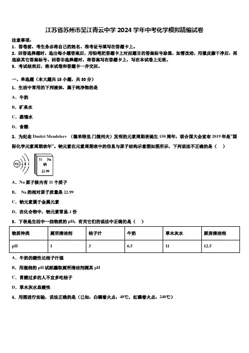 江苏省苏州市吴江青云中学2024届中考化学模拟精编试卷含解析