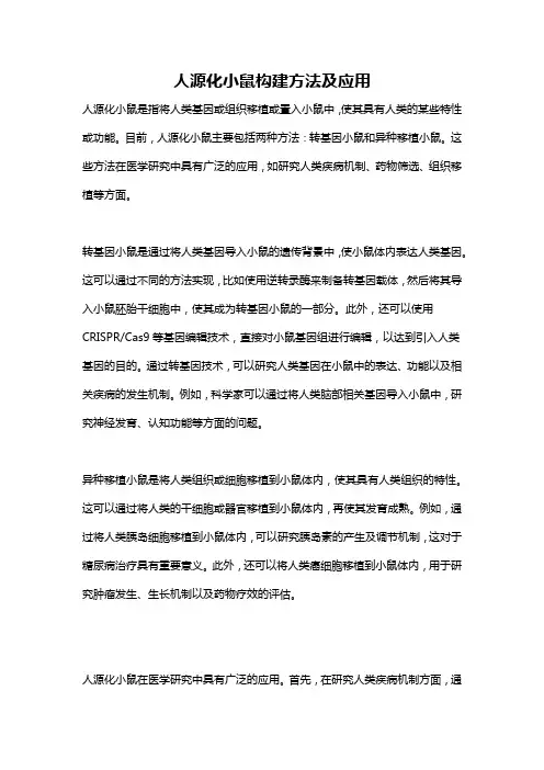 人源化小鼠构建方法及应用