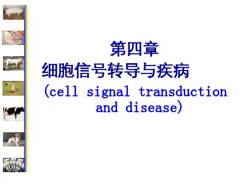 动物医学-病理生理学《细胞信号转导障碍与疾病》课件