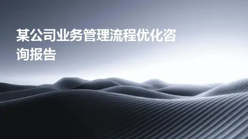某公司业务管理流程优化咨询报告