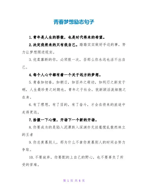 青春梦想励志句子