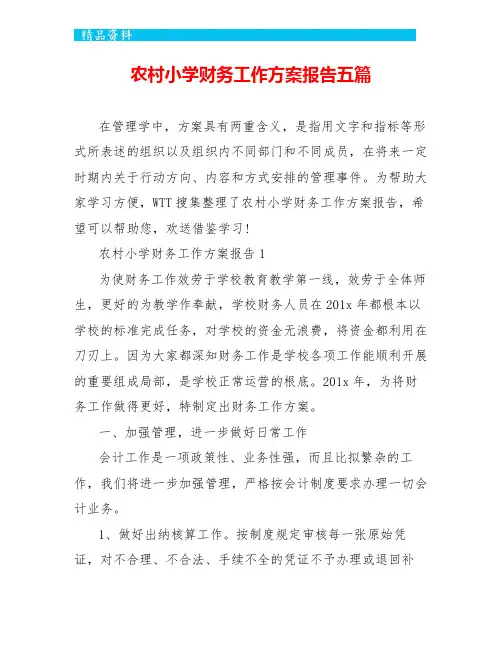 农村小学财务工作计划报告五篇