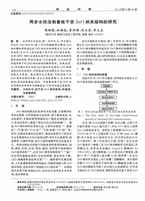 两步水热法制备枝干状ZnO纳米结构的研究