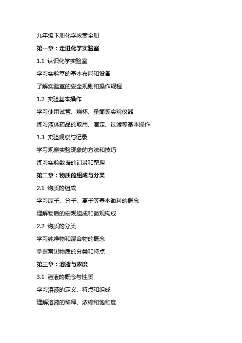 九年级下册化学教案全册