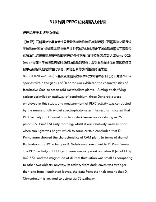 3种石斛PEPC羧化酶活力比较