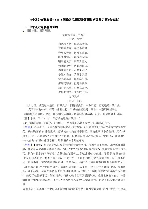 中考语文诗歌鉴赏+文言文阅读常见题型及答题技巧及练习题(含答案)