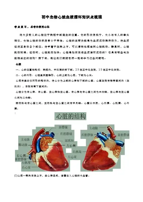 初中生物心脏血液循环知识点梳理