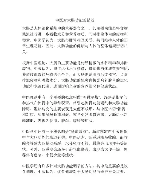 中医对大肠功能的描述