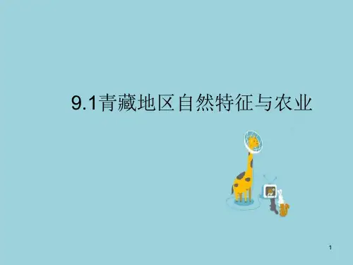 青藏地区ppt课件