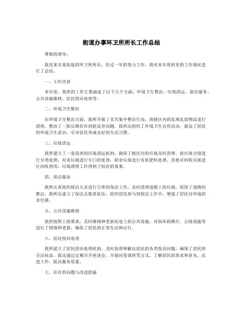 街道办事环卫所所长工作总结