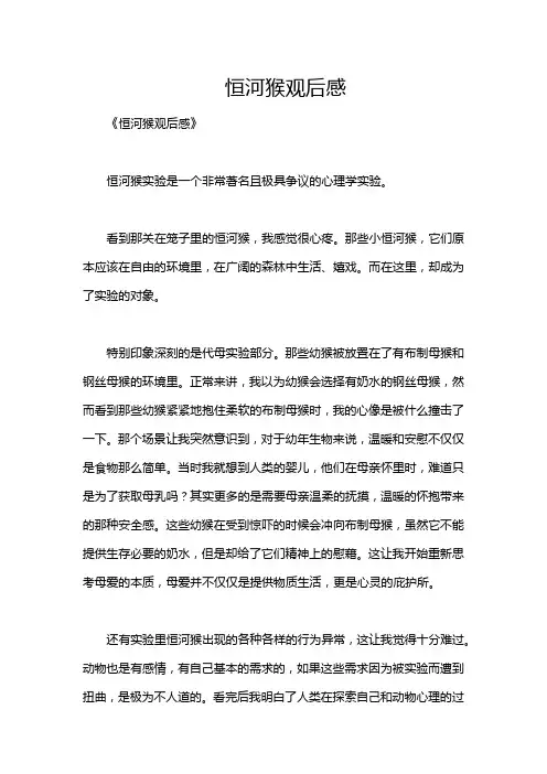 恒河猴观后感