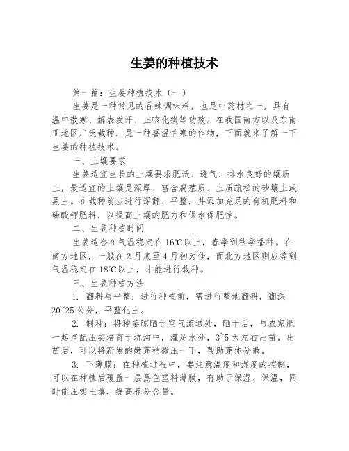生姜的种植技术