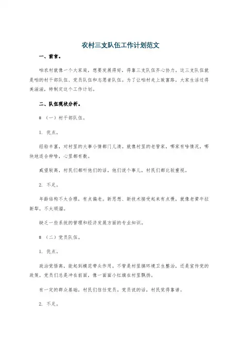 农村三支队伍工作计划范文