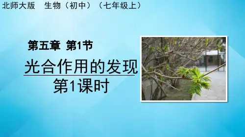北师大版生物七年级上册5.1《光合作用》课件